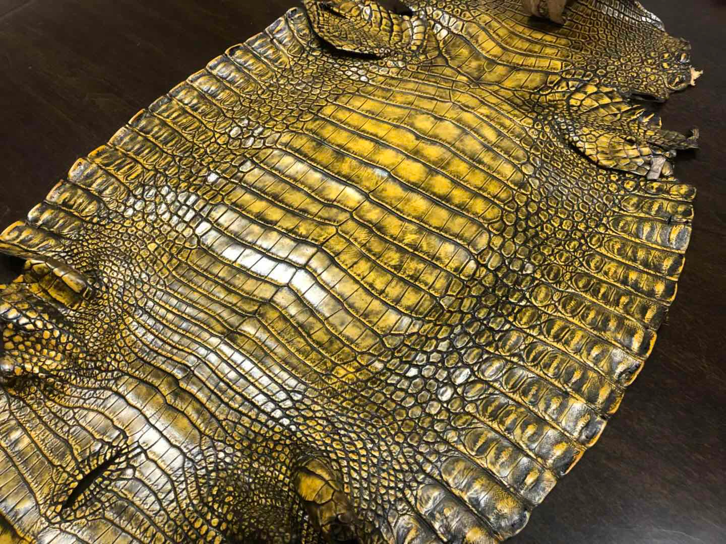 crocodile skin